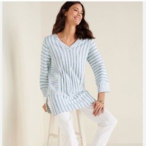 Soft Surroundings Briza Stripe Tunic Top in Aqua
